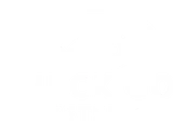 Check Go Systems